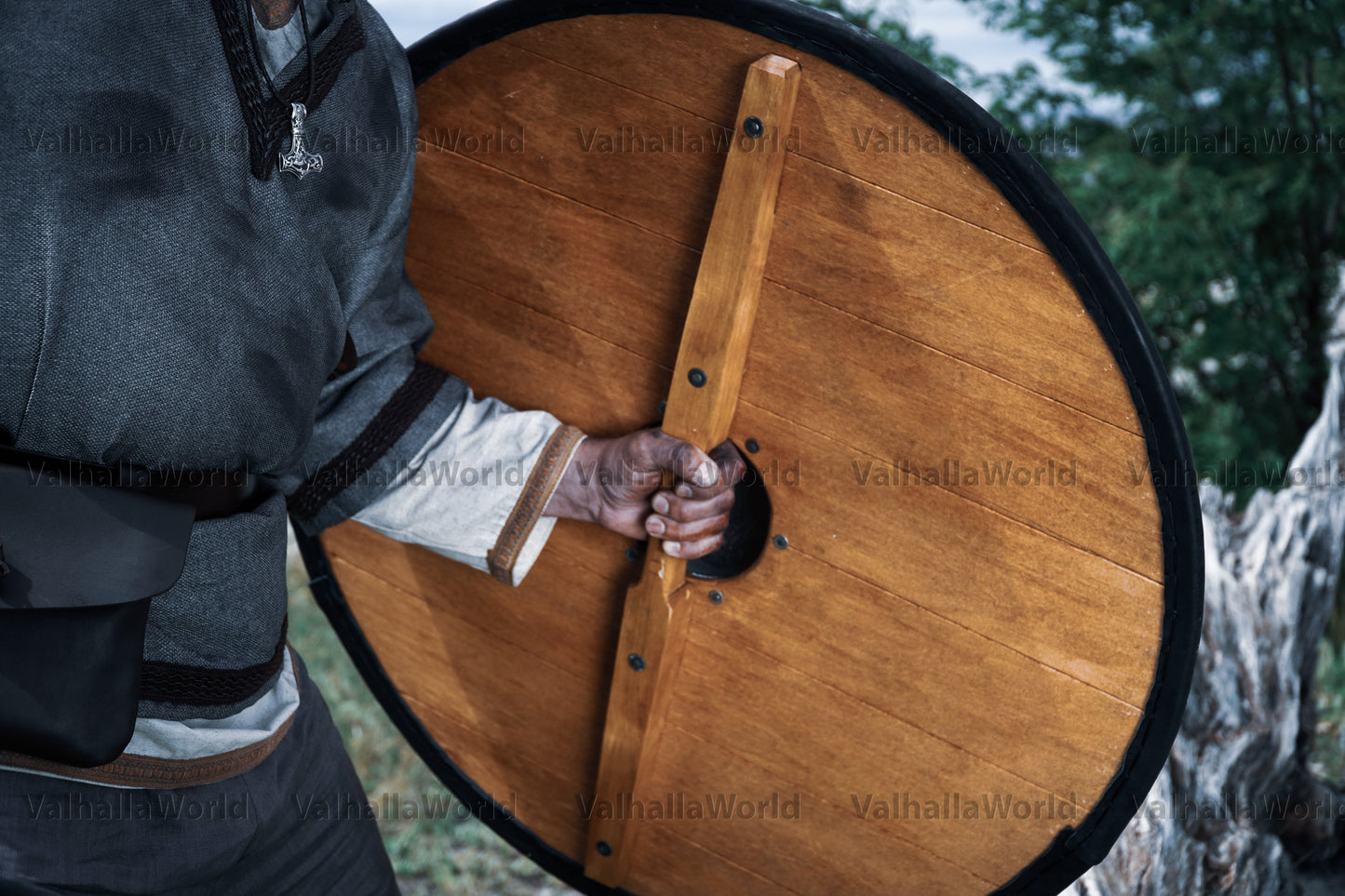 Viking shield - WAVES