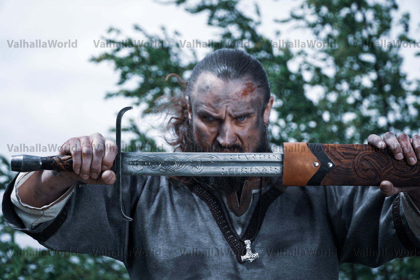 Viking sword with a sheath