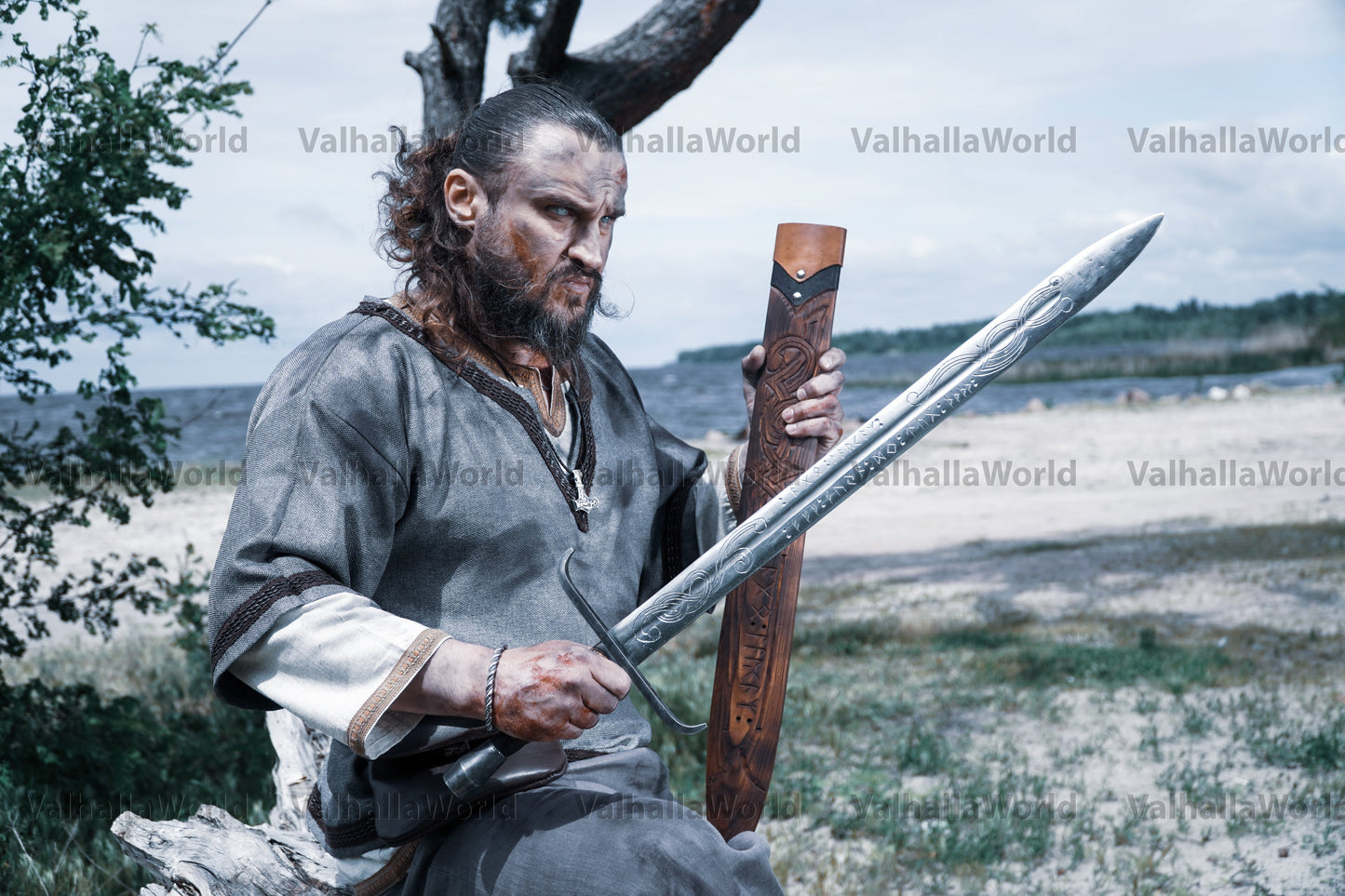 Viking sword with a sheath
