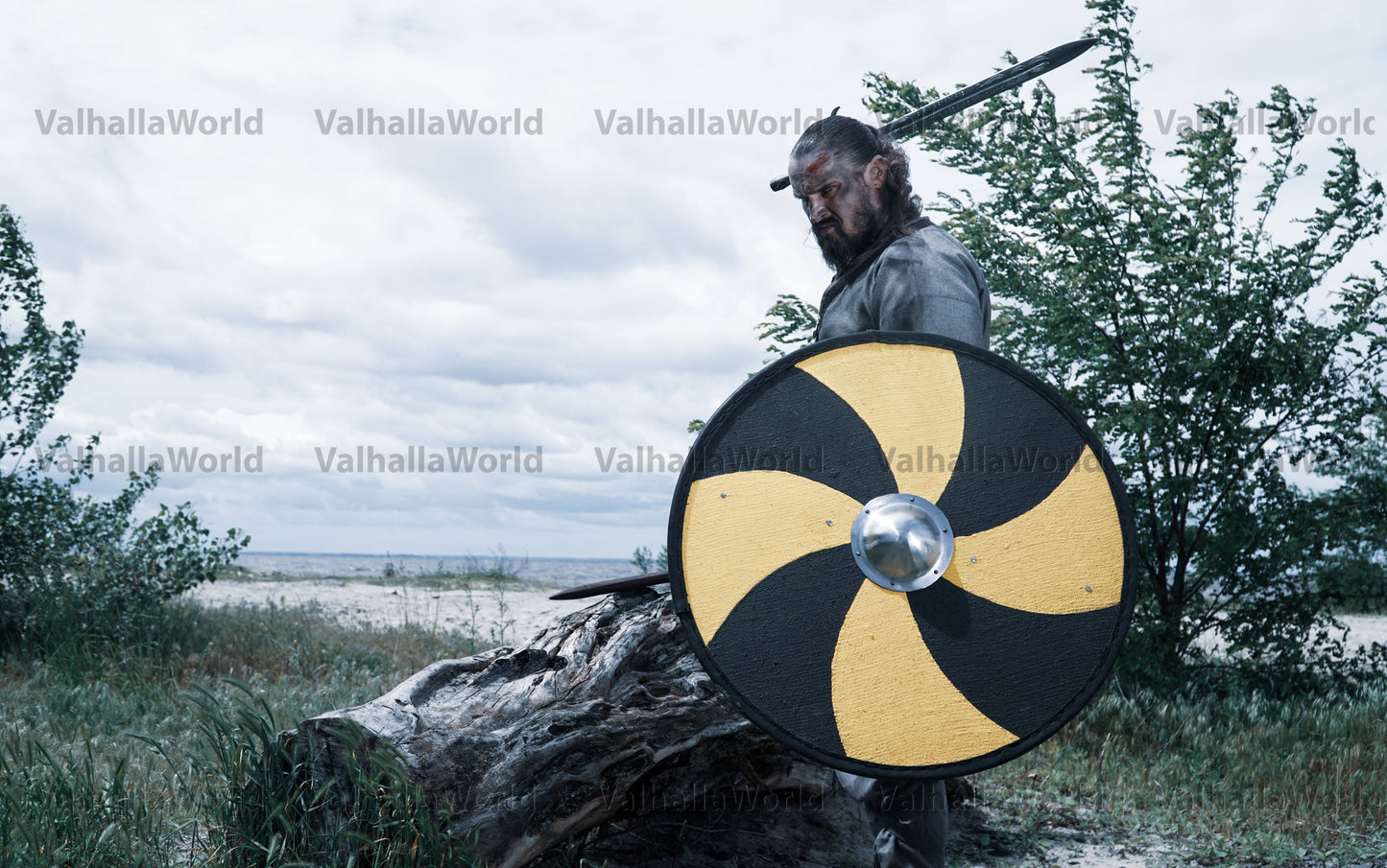 Rollo Viking shield