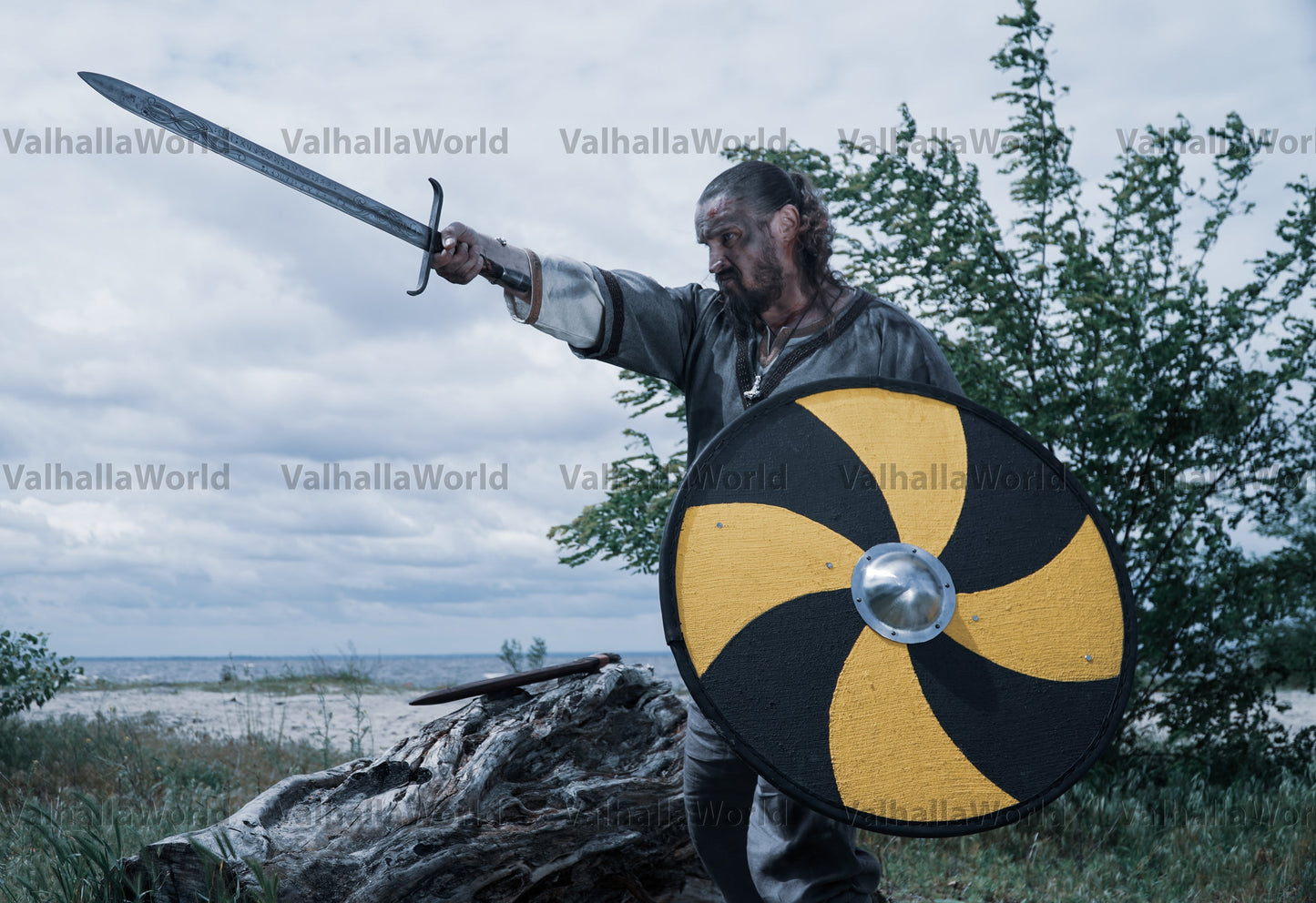 Rollo Viking shield