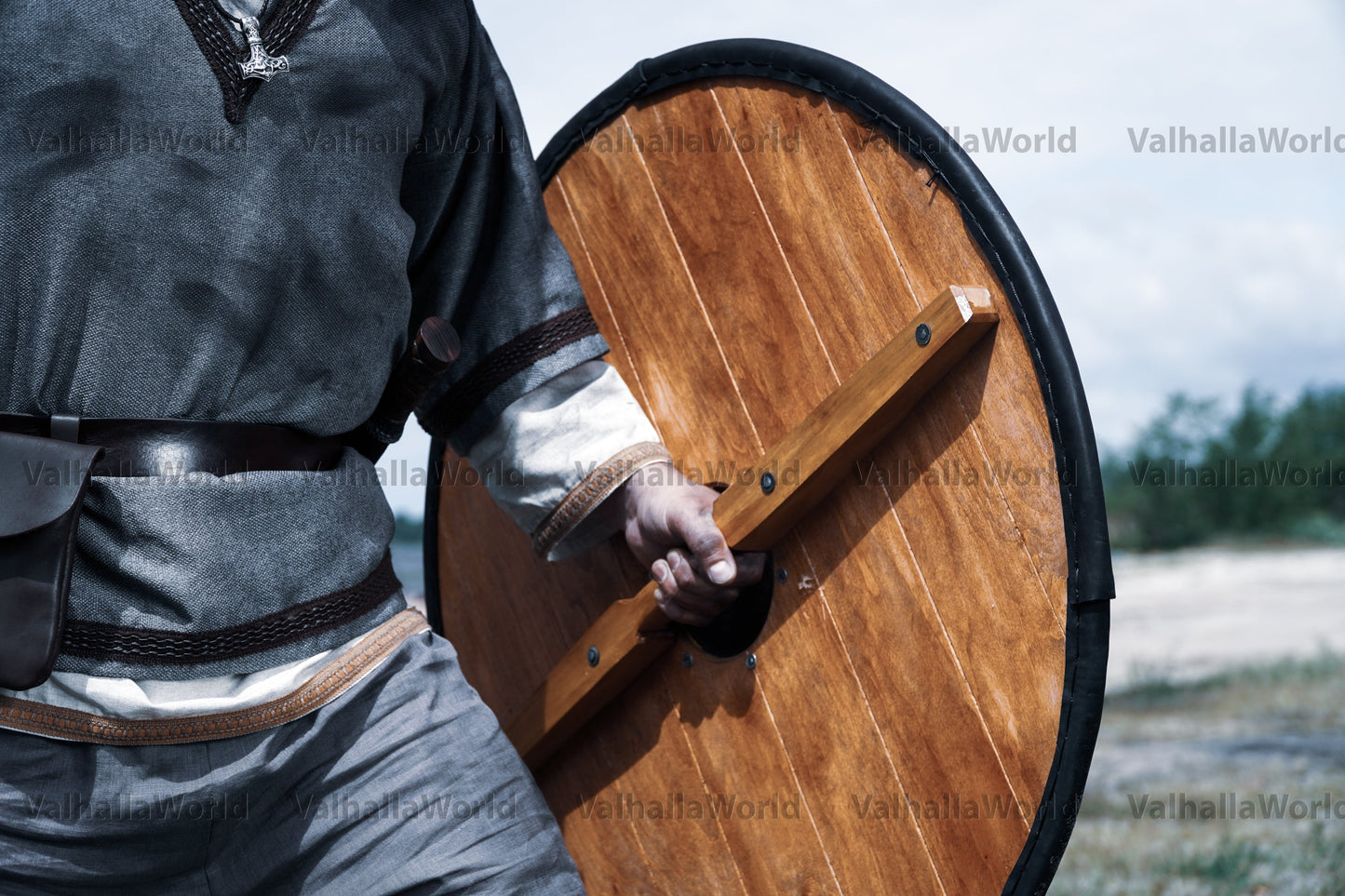Viking shield - WAVES
