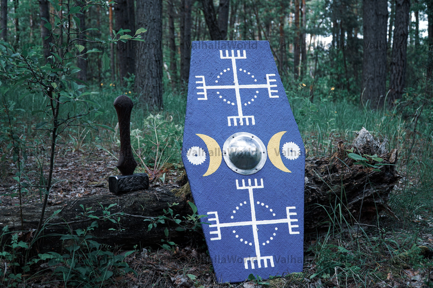 Germanic medieval shield