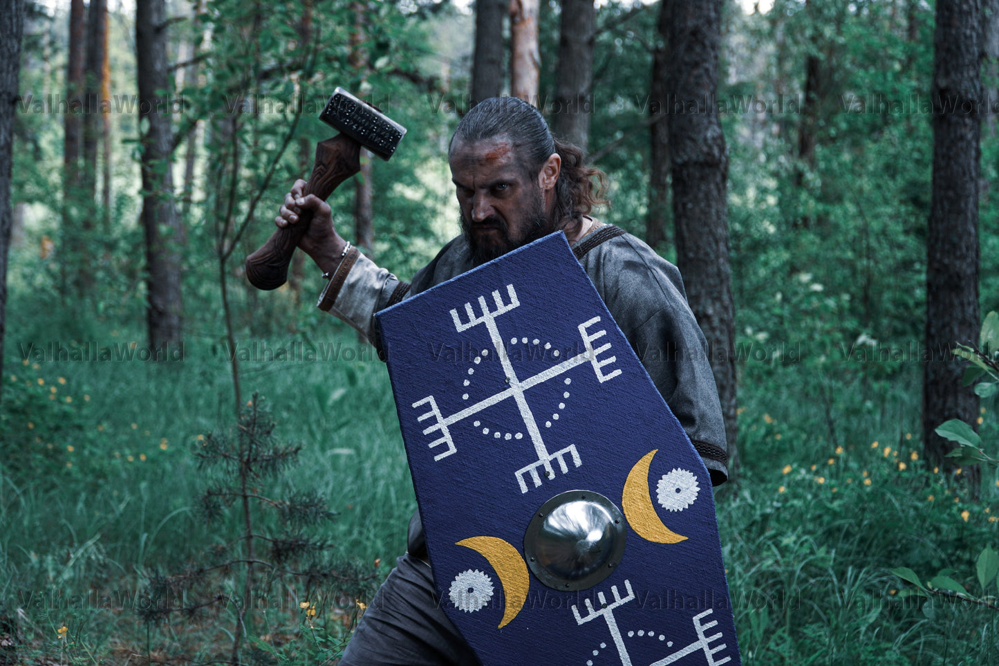 Germanic medieval shield