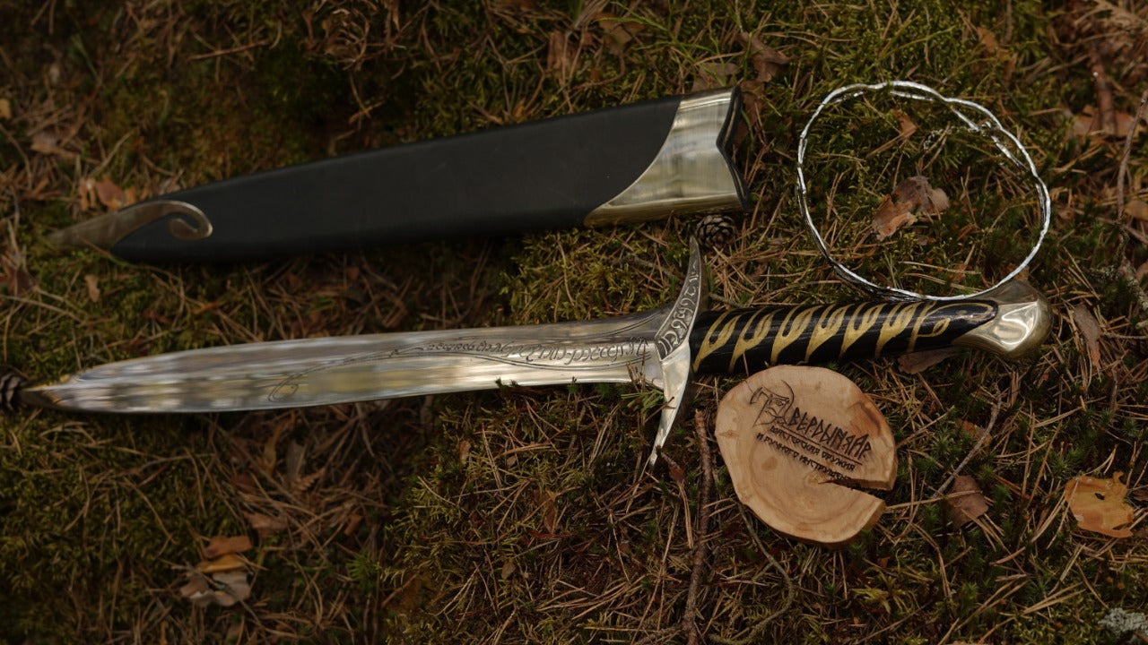 Scandinavian sword with sheath