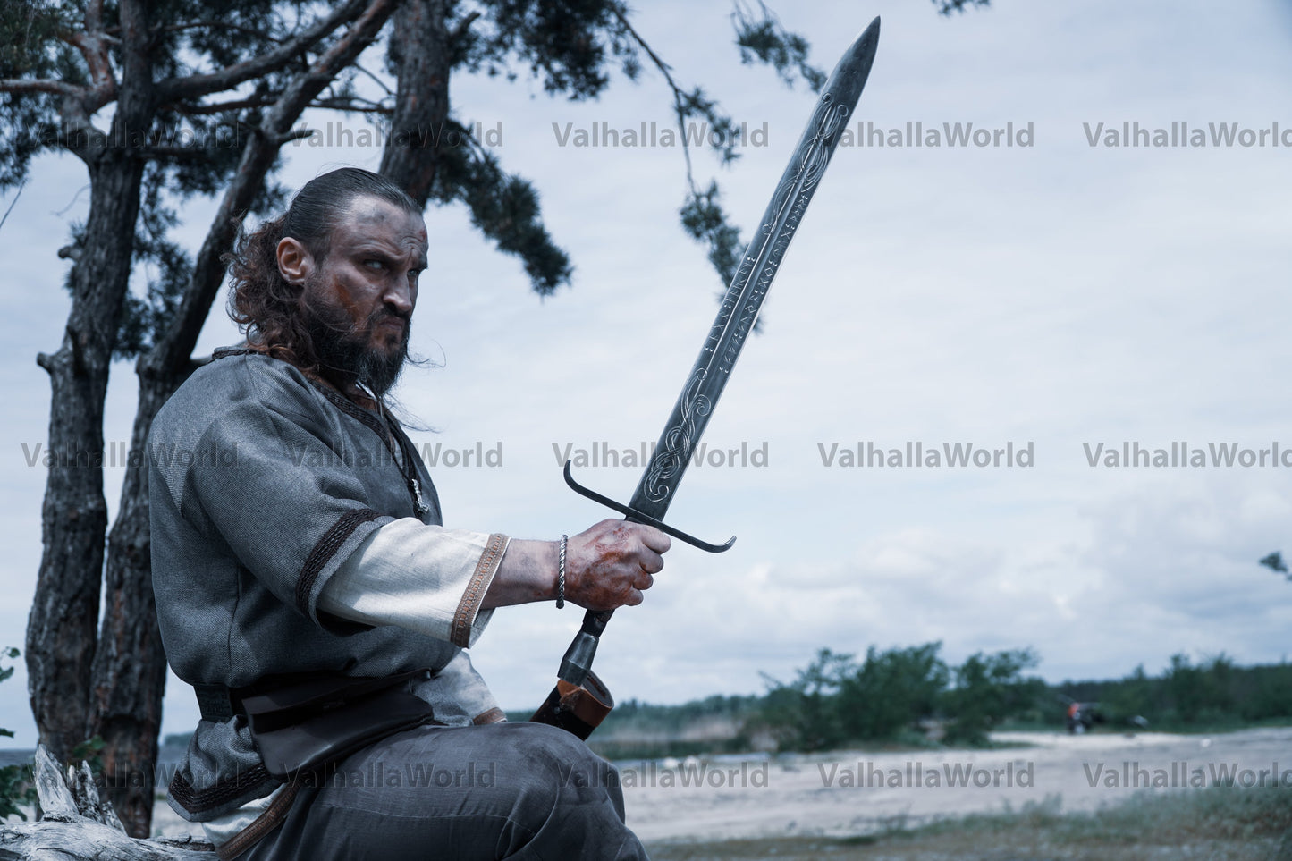 Viking sword with a sheath