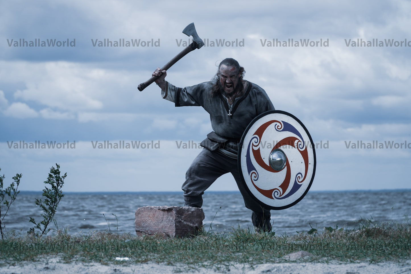 Viking shield - WAVES