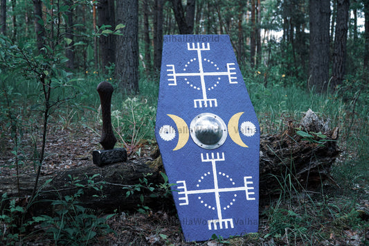 Germanic medieval shield