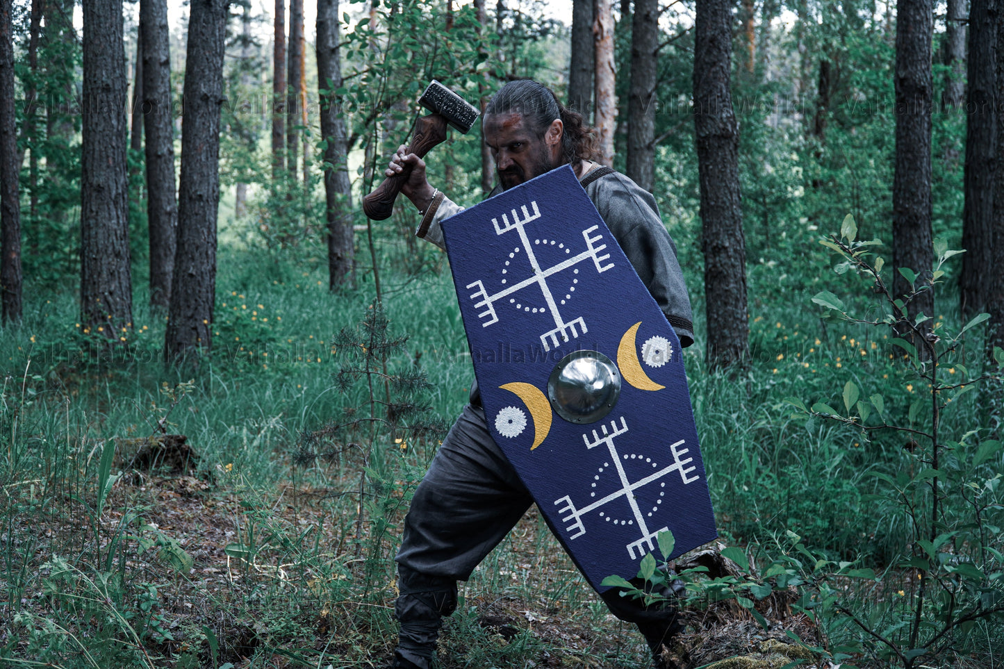 Germanic medieval shield
