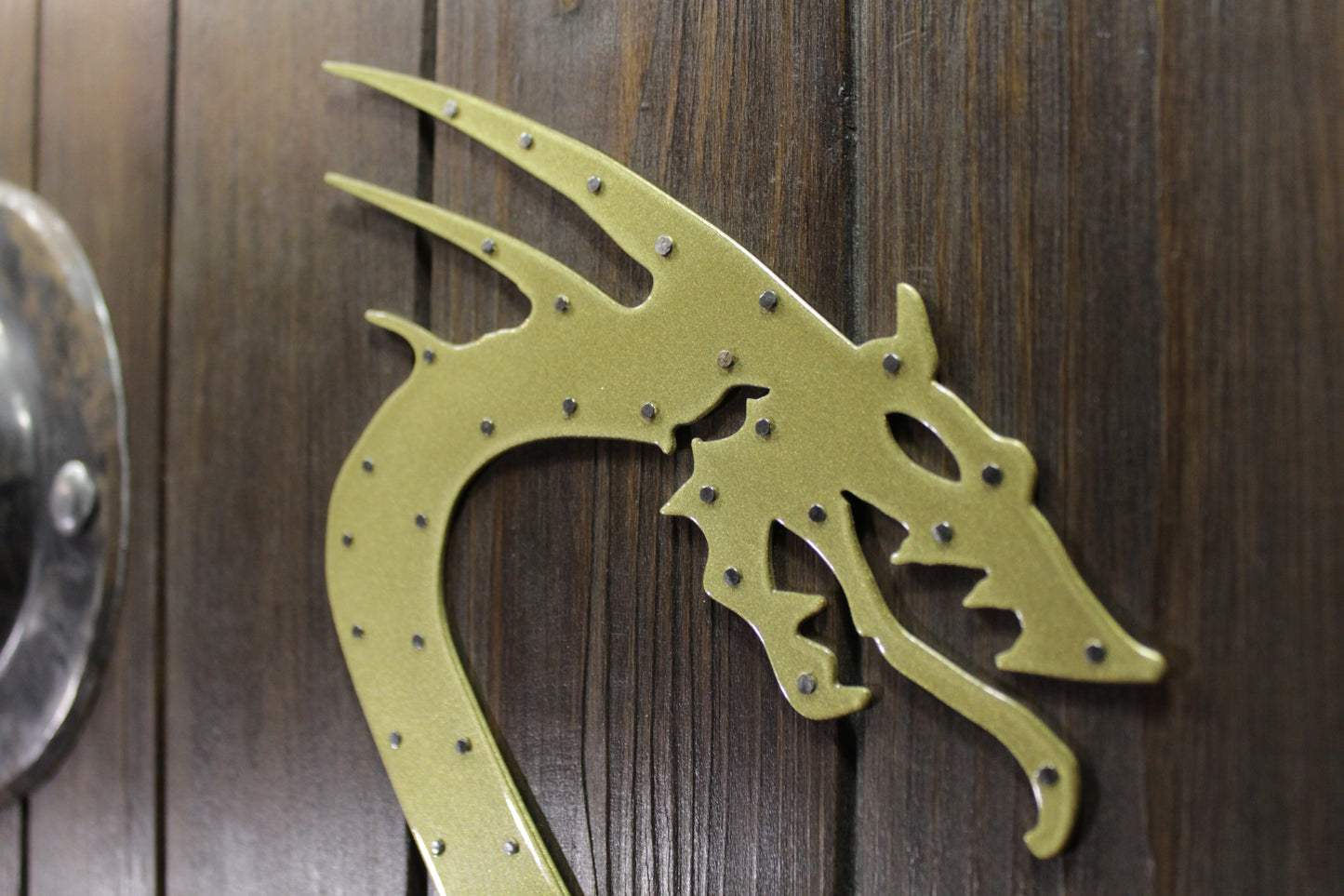 Viking shield "Drakkar"